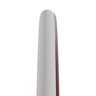 Schwalbe Wheelchair Dunk King 700 x 25C (25-622) Evolution Line White/Bordeaux Colour