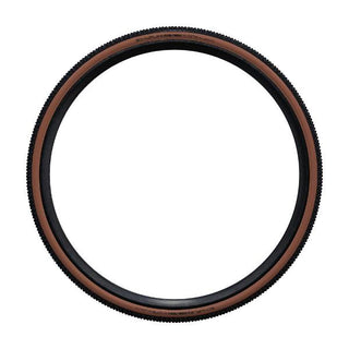 Schwalbe X-One Allround 700 x 33C Raceguard Addix Performance Line Bronze Skin TUBELESS