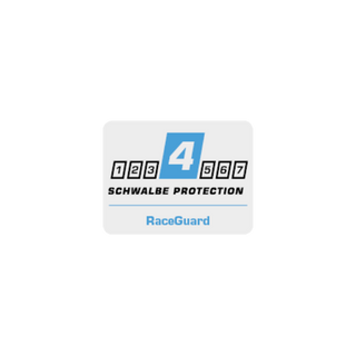 Schwalbe X-One Allround 700 x 33C Raceguard Addix Performance Line Bronze Skin TUBELESS