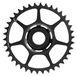 SRAM Chain Ring X-SYNC 2 16T Eagle Bosch DM Black