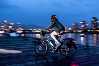 Ortlieb F8230 E-Glow Handlebar Bag - Black