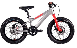 Patrol Kids 016 Focus Mountain Bike - Silver Red