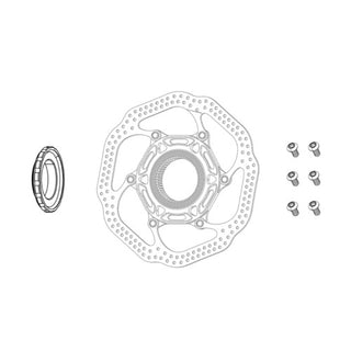 SRAM Rotor Bolt Kit - Titanium T25 - Silver Bolts (Qty 12)